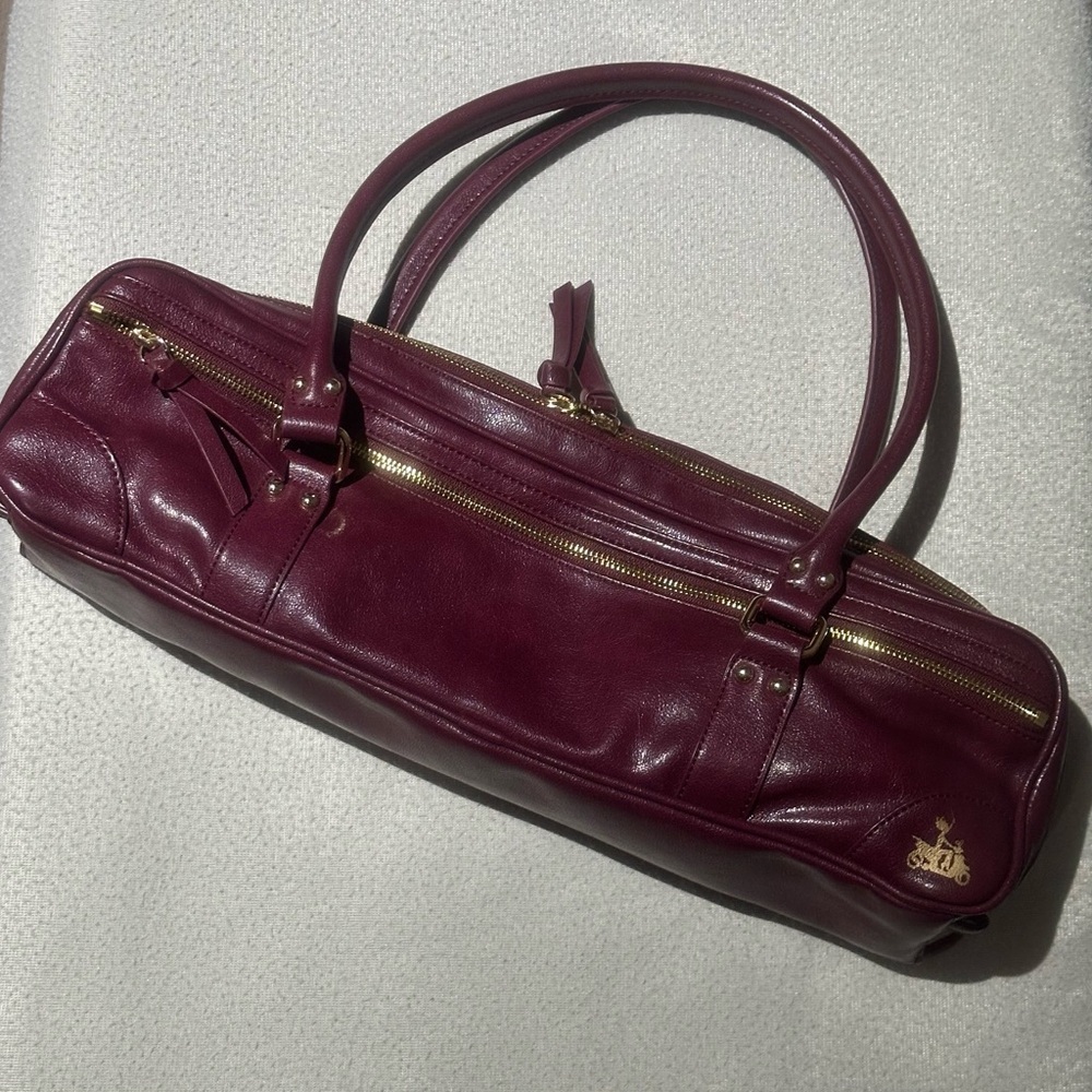 ⭐️Like New⭐️ Fluterscooter Case Cover